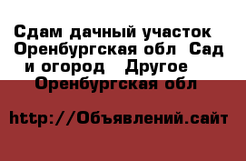 Сдам дачный участок - Оренбургская обл. Сад и огород » Другое   . Оренбургская обл.